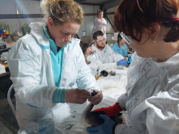 WhatsApp Image 2025-01-20 at 09.47.00 (1)