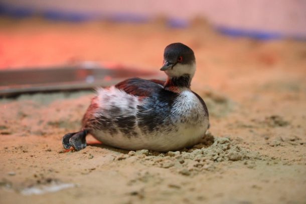 WhatsApp Image 2025-01-20 at 09.47.00 (2)