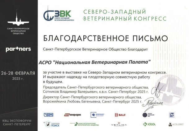 WhatsApp Image 2025-03-04 at 14.03.53