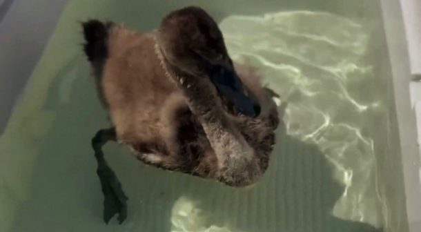 WhatsApp Image 2025-08-22 at 17.03.35 (1)