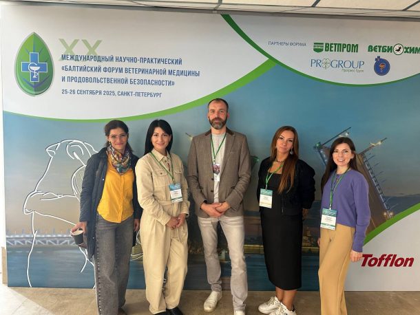 photo_5393151427150477563_y