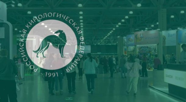 WhatsApp Image 2025-11-26 at 12.32.23 (4)