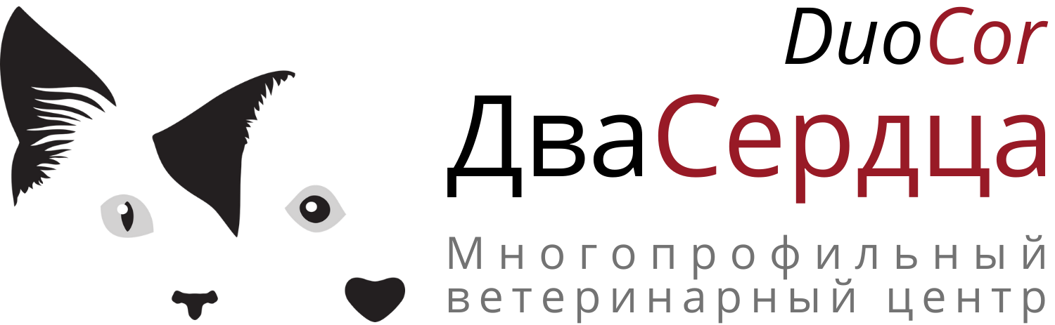 Центр два. МВЦ два сердца. Duocor. Duocor образовательный центр. МВЦ «два сердца» интерьер.