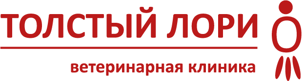 Толстый лори бестужевская. Толстый Лори ветеринарная клиника. Лори логотип. Ветклиника толстый Лори на Бестужевской. Ветклиника толстый Лори отзывы.